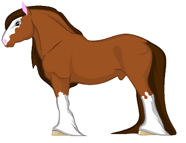ShireHorse
